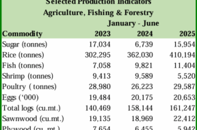 Screenshot 2025-11-27 120545