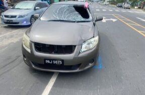 595262708_1274176151184826_8054206741481857435_n