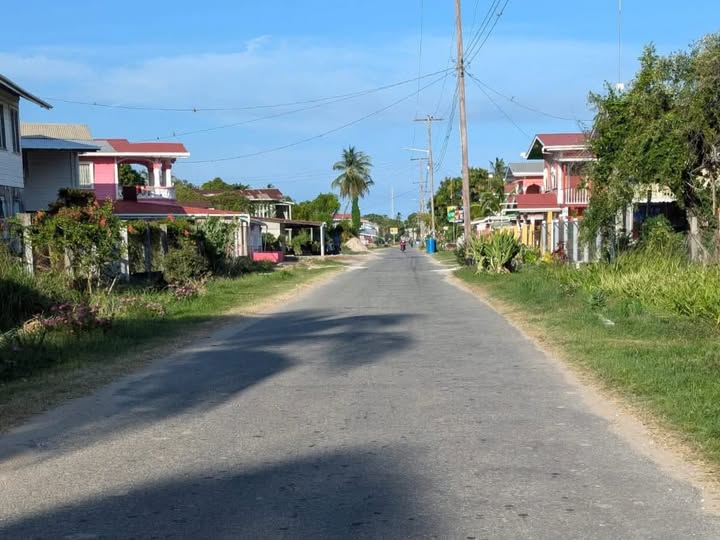 Leguan set for lower power costs, better transport and new economic push