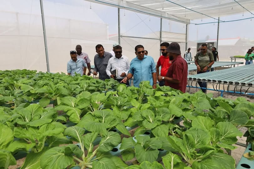 AIEP trains 600+ youths with over 70% start agri-businesses — Ramkissoon
