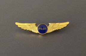 WING-PILOT-1