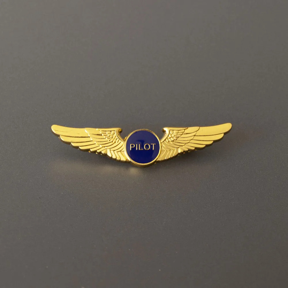 Guyana to launch premier aviation school