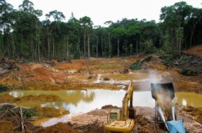 612627737_1297037938898647_8970615618770732003_n