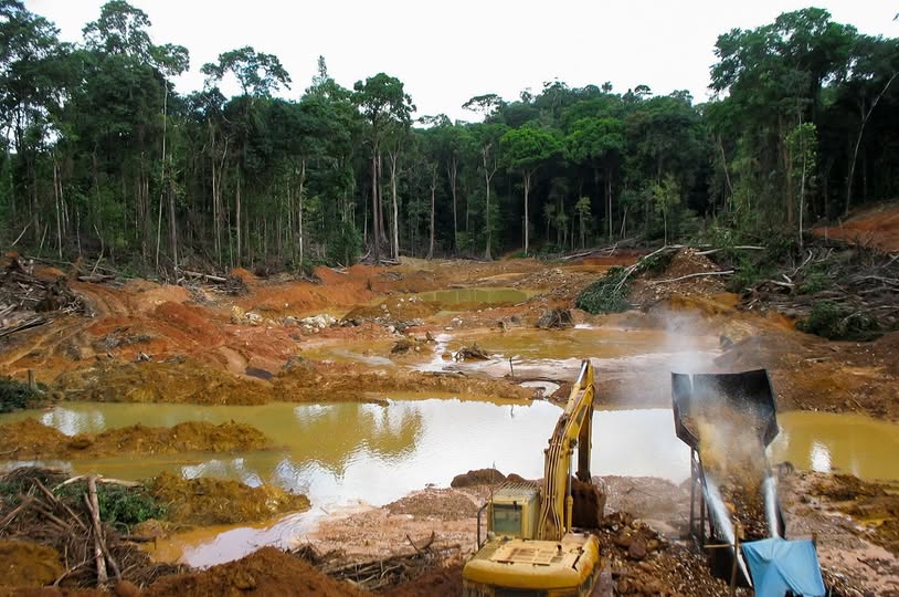 107 Brazilian miners suspended