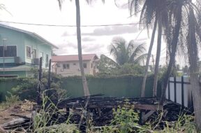 615420067_1301143221821452_9090442680193004475_n