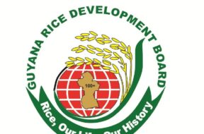 615822047_1301763711759403_1192141680015603415_n