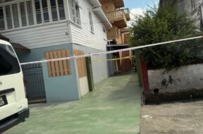 616211458_1302025291733245_6585177552965288600_n