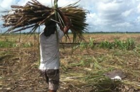 622791304_1312234810712293_760104308412140395_n