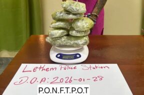 624082630_1314432220492552_7304606375707139092_n