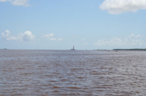 Pilings_for_the_Berbice_River_bridge