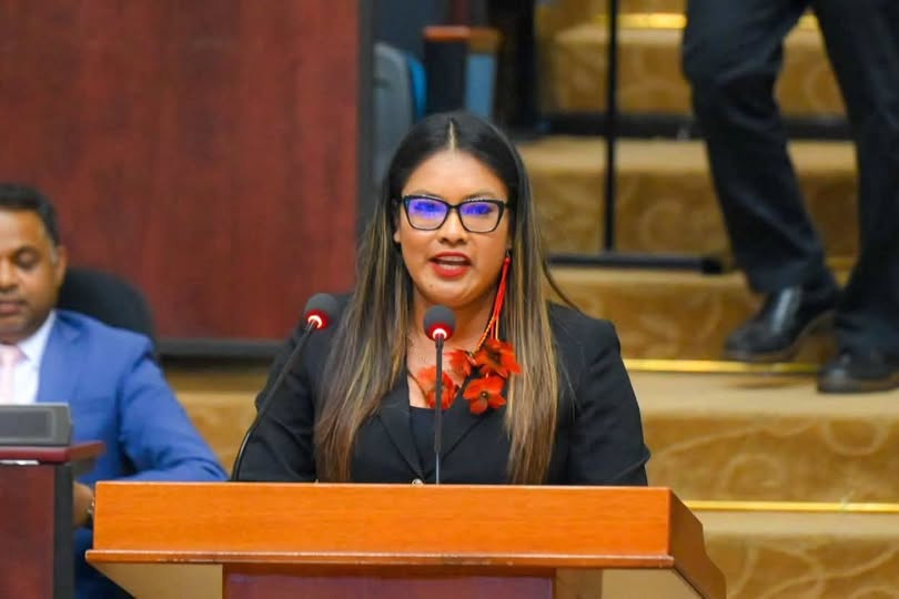 Browne-Shadeek rejects claims traditional Amerindian homes reflect poverty