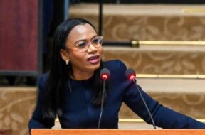 630640610_1323239229611851_7542997633714483000_n