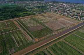 631220577_1324098736192567_9106205635686232316_n