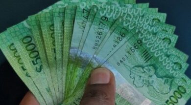 633666721_1324652936137147_7600363399717903324_n