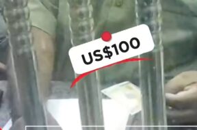 633726977_1325993369336437_4356891938016019988_n