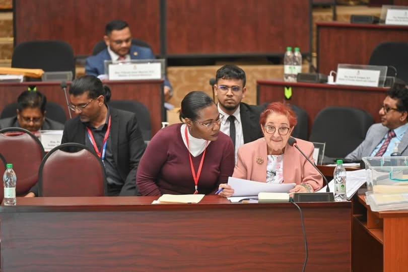 $41.8B for GDF, $10.4B for Office of President among approvals as Budget 2026 estimates examined