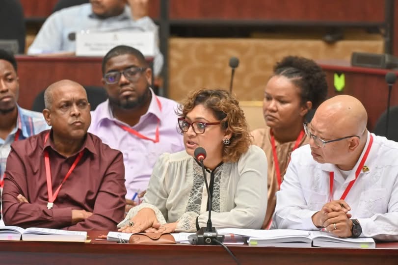 $2.8B Georgetown Enhancement Programme Targets Markets, Green Spaces and Historic Sites