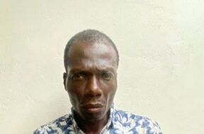 634005933_1327208412548266_6503747466920149881_n