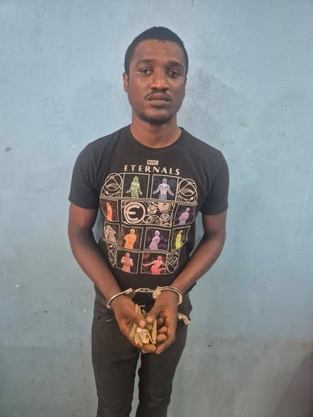 Attempt to smuggle contraband into Lusignan Prison averted