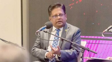 Ashni-1-rkj6ck612g8cat4t49lbsht6tp4l4qsncn2luung8e