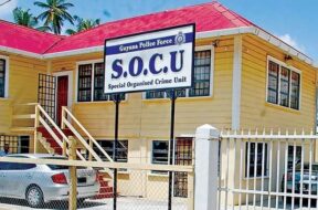 FB_IMG_1774626402798