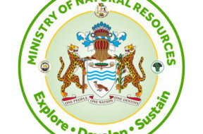 MNR-Logo