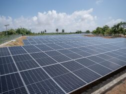 535555911_1084918147157969_5074136671981037725_n