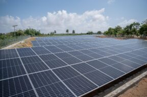 535555911_1084918147157969_5074136671981037725_n