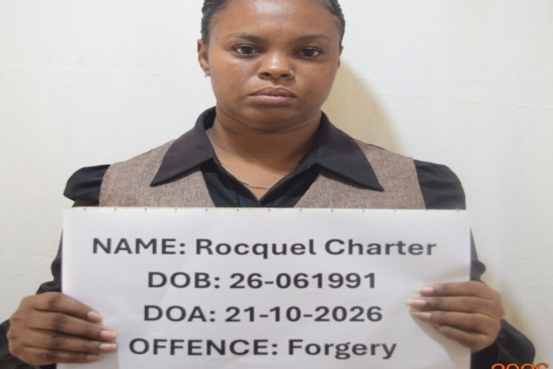 Court clerk on $500,000 bail over alleged $17M cheque forgery