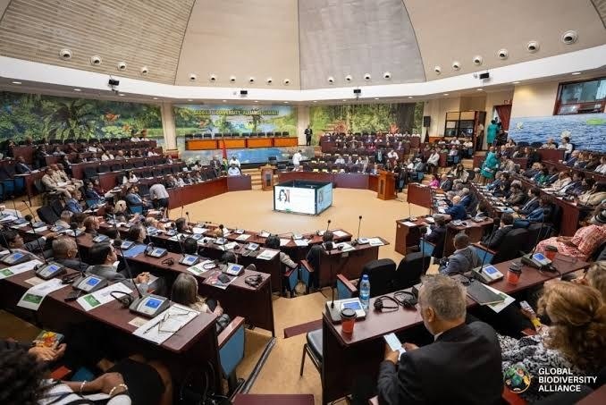 Biodiversity financing takes centre stage at Guyana conference this week