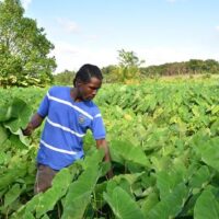 Preferential bank loans coming for medium, large-scale farmers