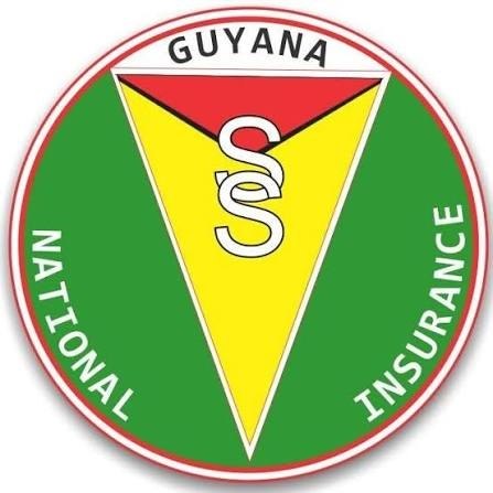 NIS returns to surpluses as employment, contributions grow -IMF