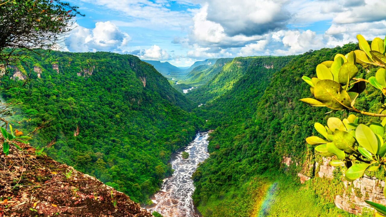 Guyana’s carbon credits gain foothold in international aviation market -IMF