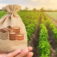 Gov’t in talks with banks for cheaper agriculture loans