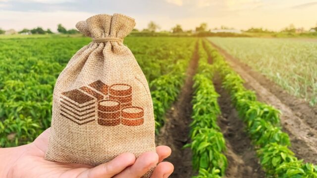 Gov’t in talks with banks for cheaper agriculture loans
